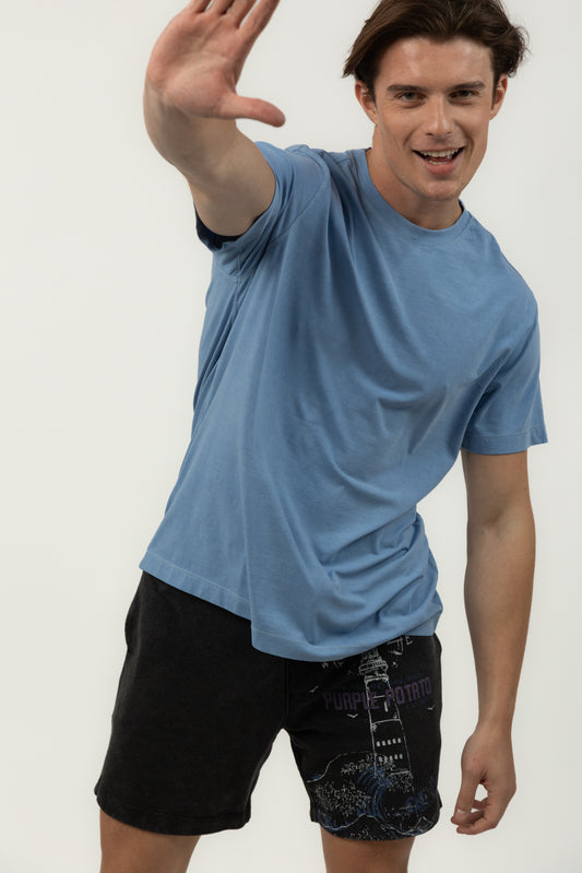 Men's Relaxed Fit Crew Neck Tee (Blue)